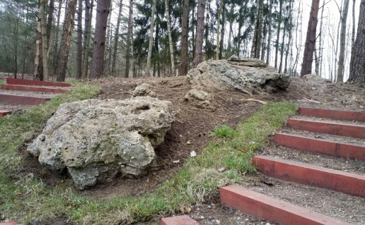 4_Stakų konglomeratų luistai2_1.jpg